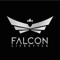 Falcon Car Rental image 3